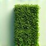 Vertical Greenery Solutions Icon
